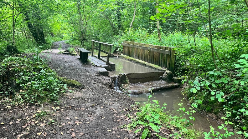 22-06-06 13-32-26 1065.jpeg